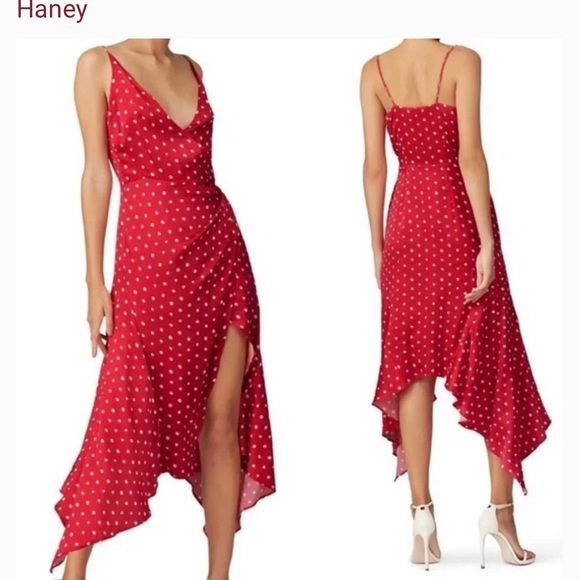 HANEY Silk Long Dress w/ Tags ❤️ - Picture 5 of 5